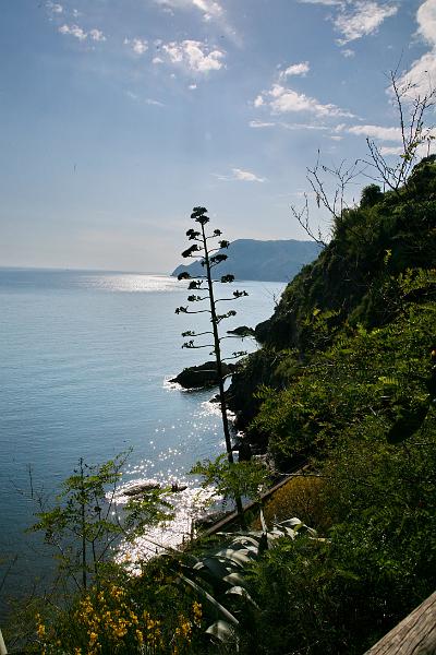 Ligurien-Cinque Terre  58.jpg